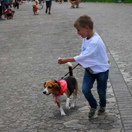 Niño junto a un perro