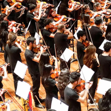 Orquesta de Violas del Festival Interviolas de Bogotá 
