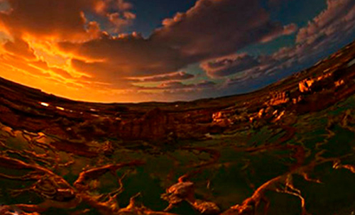 La vida donde nadie imaginaba: Biosfera Oscura llega al Domo de Maloka