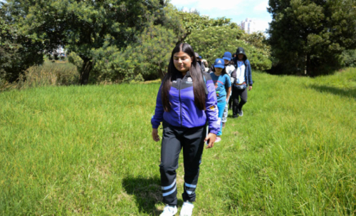 Caminata en el Humedal Tingua Azul