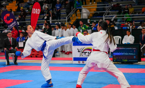 Taekwondo en el Palacio de los Deportes