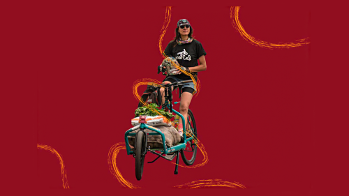 Mujer sobre una bicicleta llevando un mercado