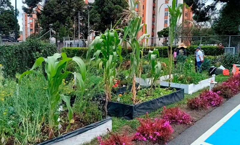 Minga por la huerta