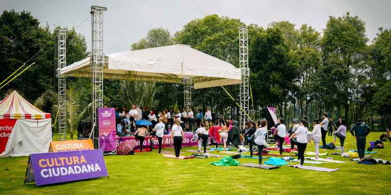 personas en festival calma al aire libre