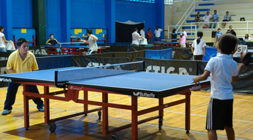 Set 12 Pelotas Ping Pong - Tenis De Mesa