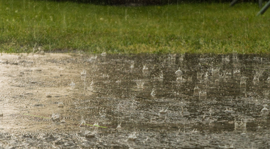 Lluvia sobre una acera