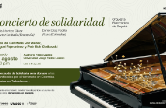 imagen concierto solidaridad