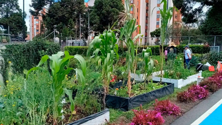Minga por la huerta: manos que suman