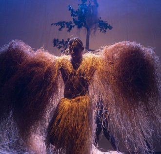 fotografía de obra de danza