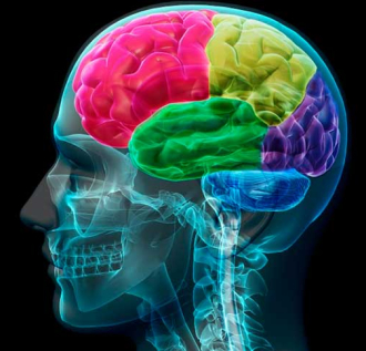 Encuentro: Neurociencia del fútbol