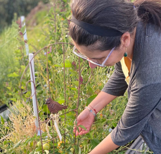 De la cocina a la tierra