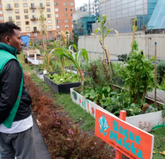 De la cocina a la tierra: nuestros residuos orgánicos siguen el ciclo