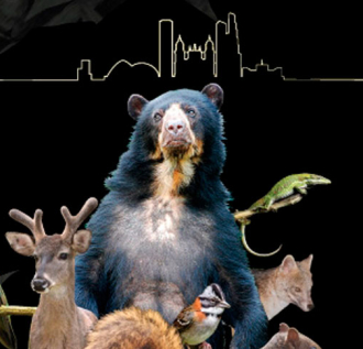 Descubre la fauna que habita Bogotá