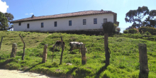 Paisaje rural en la localidad de Usme en Bogotá