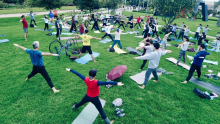 personas haciendo yoga al aire libre